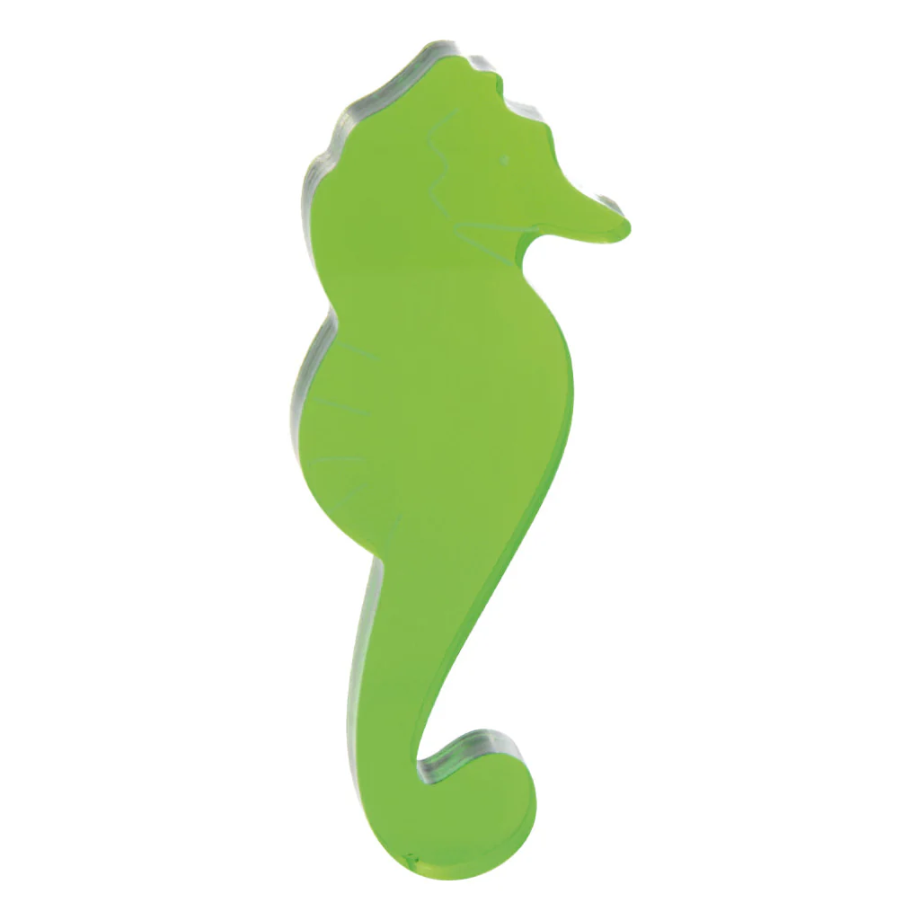 Transparente Meerestiere – Faszinierende Unterwasserwelt zum Greifen nah! - Image 3